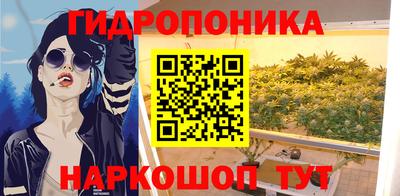 гидра Обь