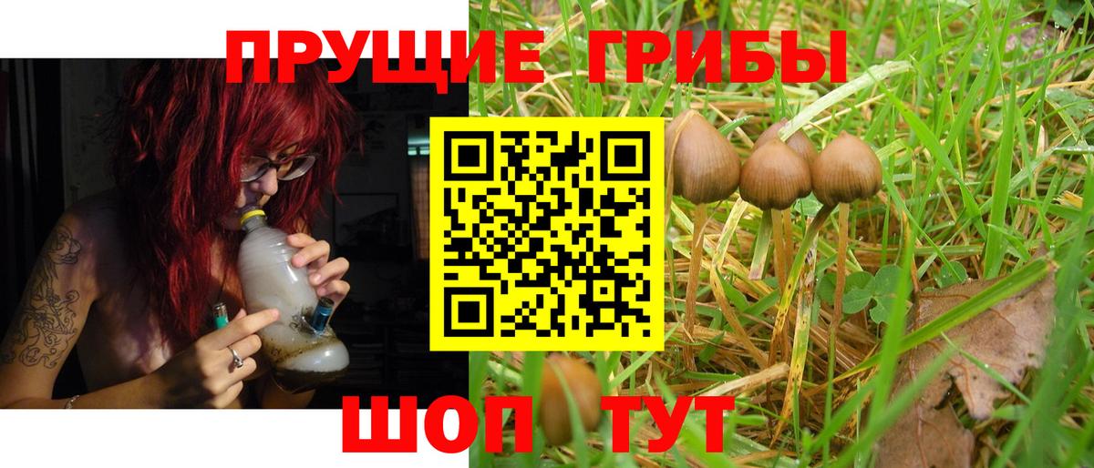 Псилоцибиновые грибы Magic Shrooms Славянск-на-Кубани