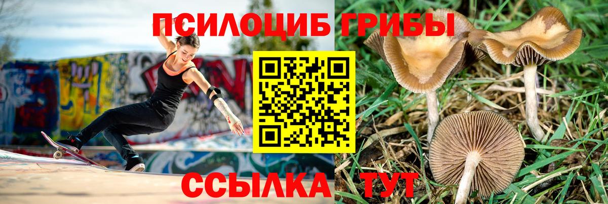 Галлюциногенные грибы Cubensis  Псилоцибиновые грибы GOLDEN TEACHER  Славянск-на-Кубани  Вход с VPN 